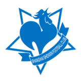 Shanghai Shenxin Football Club - vundefined