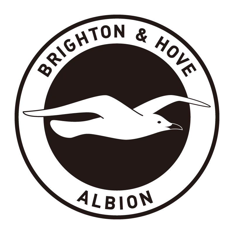 Brighton & Hove Albion Football Club - v2011