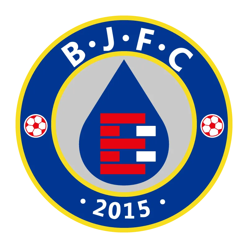 Jilin Baijia Football Club - v2015