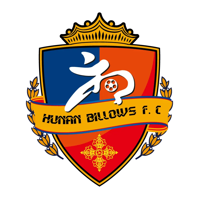 Hunan Billows Football Club - v2011