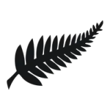 New Zealand national football team - vundefined