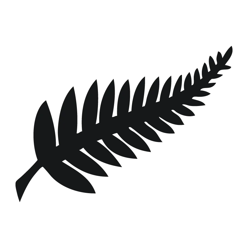 New Zealand national football team - v2022