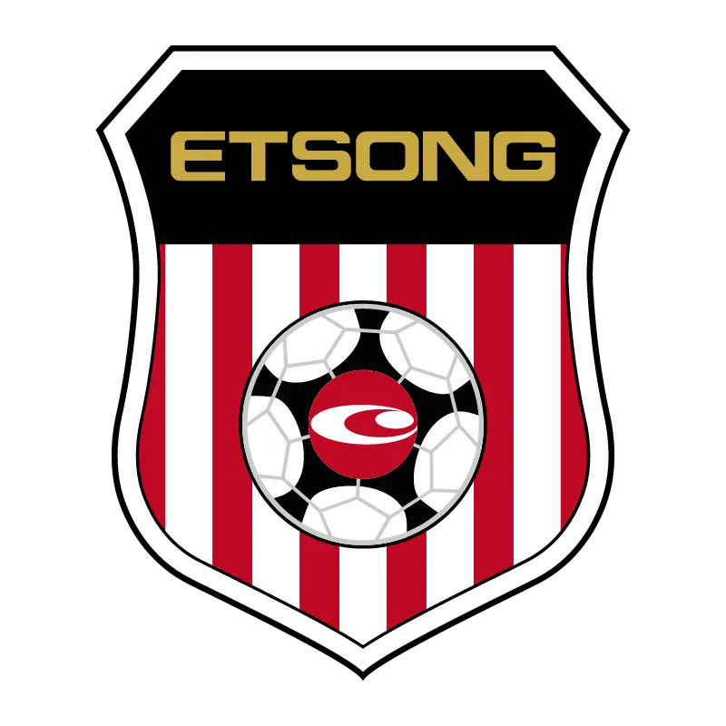 Qingdao Hainiu Football Club - v2001