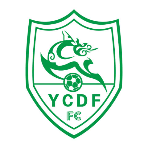 Yancheng Luzhiying Football Club