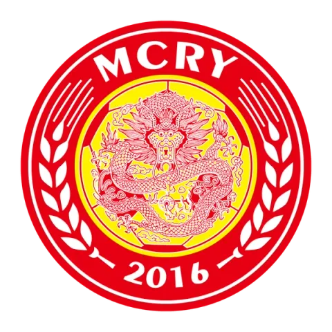 Foshan Nanshi Football Club