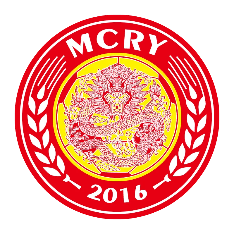 Foshan Nanshi Football Club - v2016