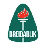 Breiðablik Youth Club - Color