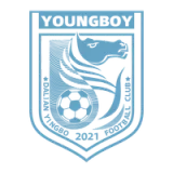 Dalian Yingbo Football Club - vundefined