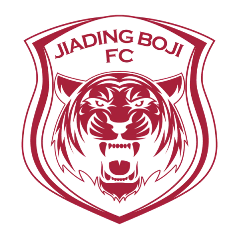 Ningbo Professional Football Club