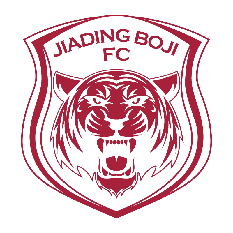 Ningbo Professional Football Club - v2017