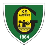 GKS GieKSa Katowice S.A. - Color