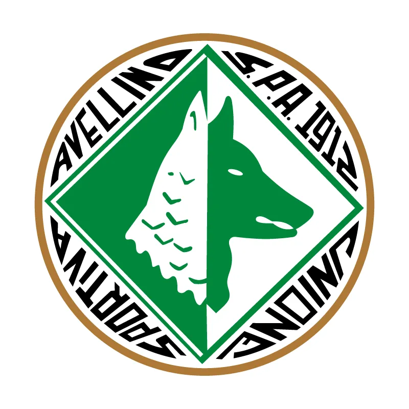 Unione Sportiva Avellino 1912 - v2015