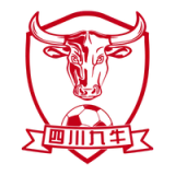 Shenzhen Peng City Football Club - Mono