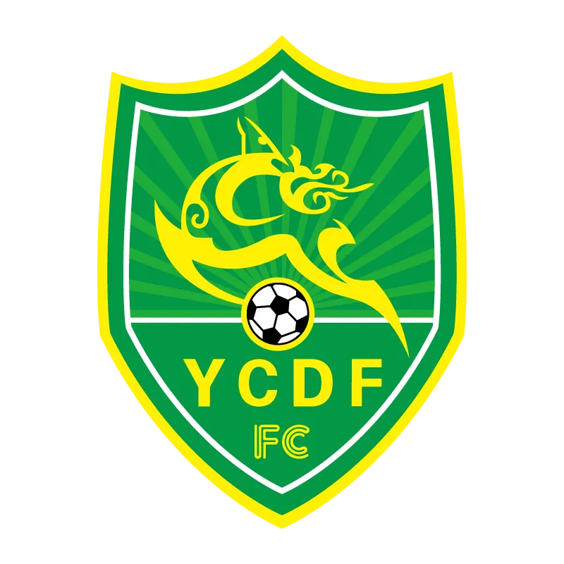 Yancheng Luzhiying Football Club - v2016