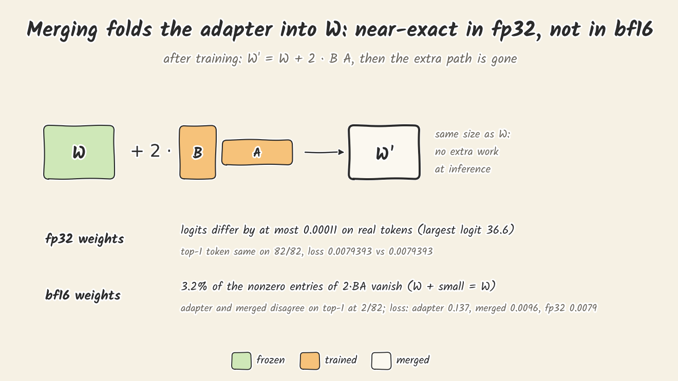 Merging drawn as W plus 2 times B times A giving W prime, the same size as W, so no extra work at inference. Two result rows. fp32 weights: logits differ by at most 0.00011 on real tokens, where the largest logit is 36.6; the top-1 token is the same on 82 of 82 positions and the loss is 0.0079393 against 0.0079393. bf16 weights: 3.2% of the nonzero entries of 2 times BA vanish, because W plus a small number rounds back to W in bf16; the adapter and merged models disagree on the top-1 token at 2 of 82 positions; loss is 0.137 for the adapter model, 0.0096 for the merged model and 0.0079 in fp32.