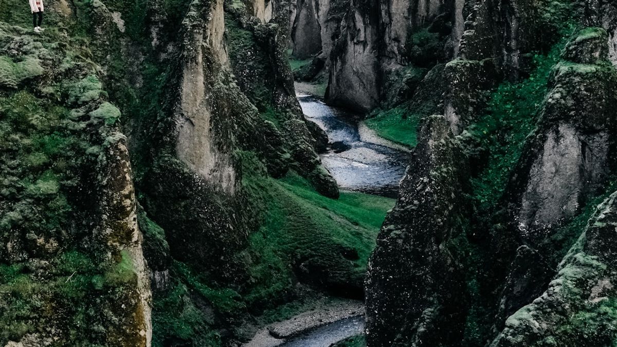 긴 문장 번역이 망가지는 이유: Context Vector 병목 현상 완전 분석