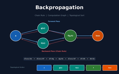 Backpropagation From Scratch: Chain Rule, Computation Graphs, and Topological Sort