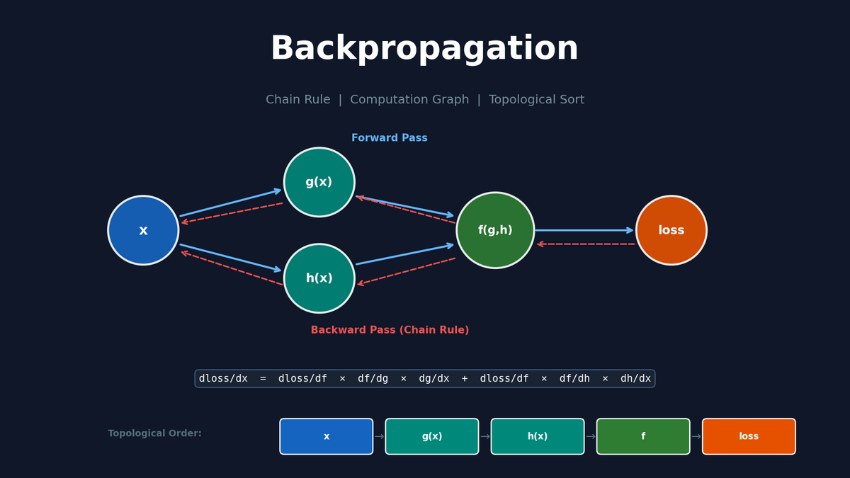 Backpropagation From Scratch: Chain Rule, Computation Graphs, and Topological Sort