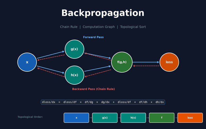 Backpropagation From Scratch: Chain Rule, Computation Graphs, and Topological Sort