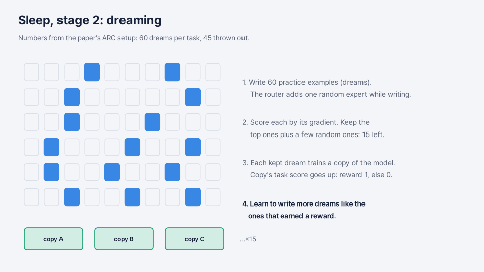 A grid of 60 squares, the dreams for one task in the paper's ARC setup. 45 fade out, 15 stay blue. Steps beside it: write 60 dreams with one random expert added; score by gradient and keep the top ones plus a few random ones; each kept dream trains a copy of the model, reward 1 if the copy's task score goes up; learn to write more dreams like those.