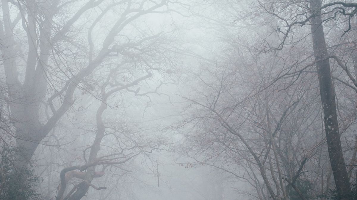 DDPM 수식 완전 정복: Forward/Reverse Process 직접 유도하기