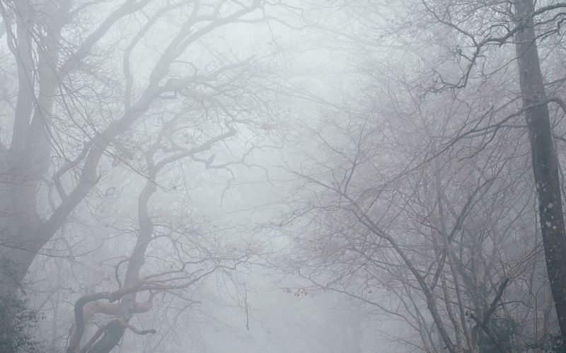 DDPM 수식 완전 정복: Forward/Reverse Process 직접 유도하기