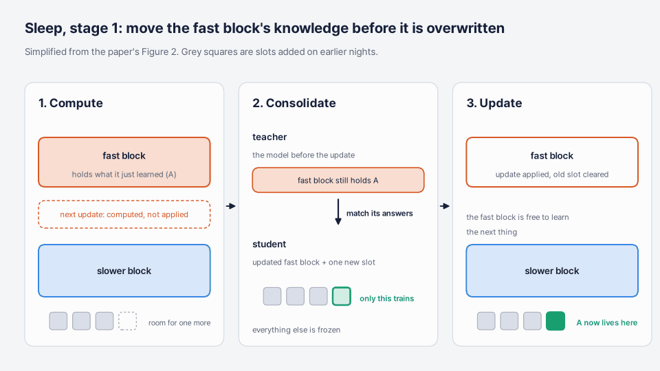 Three panels. Compute: the fast block holds what it just learned; its next update is computed but not applied; the slower block has three grey slots and room for one more. Consolidate: the teacher is the model before the update; the student is the updated fast block plus one new slot, and only that slot trains to match the teacher's answers. Update: the fast block is updated and its old slot cleared; the new green slot in the slower block now holds the knowledge.