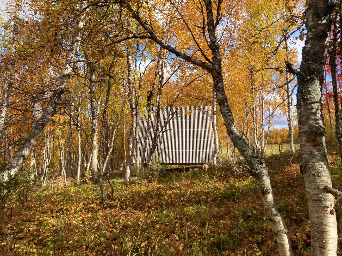 Default image alt text