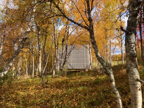 Default image alt text