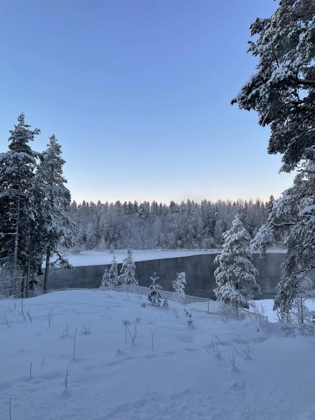 Default image alt text