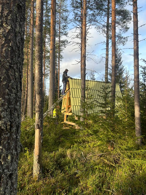 Default image alt text