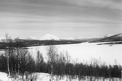 Default image alt text