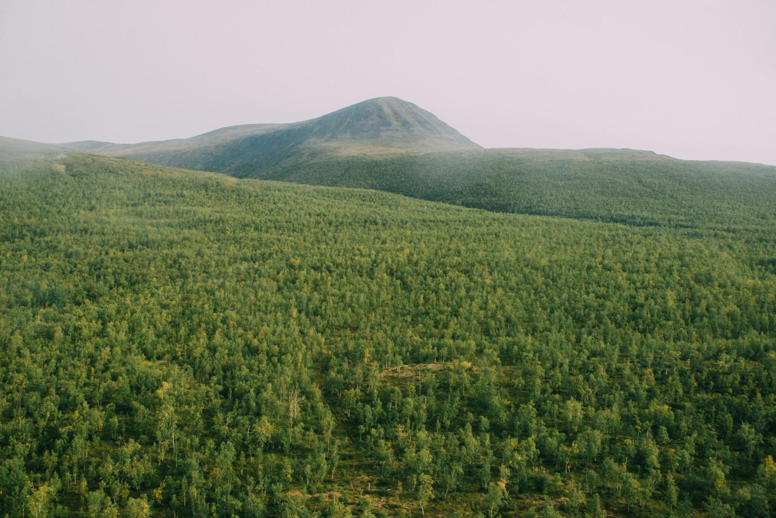 An image describing a field