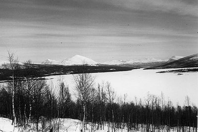 Default image alt text