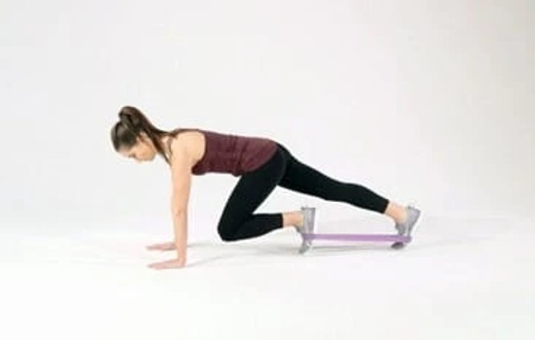 Banded mountain climbers