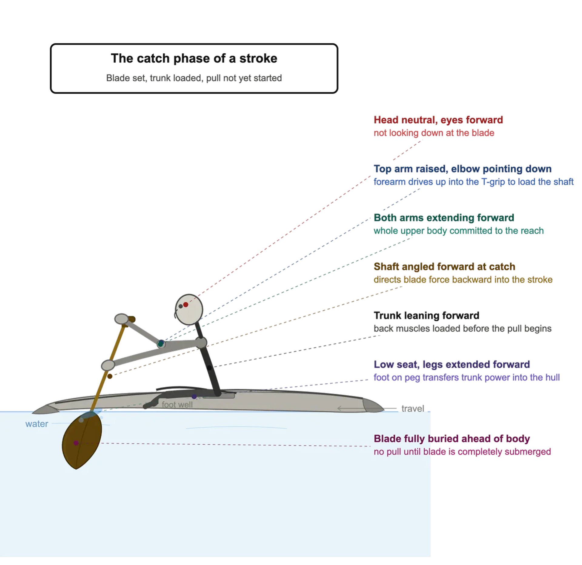 Diagram of the catch phase of a paddle stroke, side view: blade fully buried ahead of the body, trunk leaning forward with the back muscles loaded, both arms reaching forward, top arm raised with the elbow pointing down, head neutral and eyes forward.