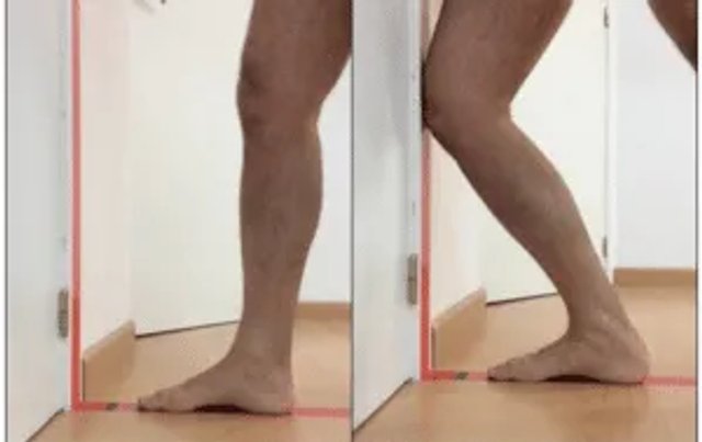 Ankle dorsiflexion