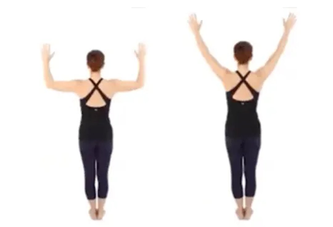 Shoulder external rotation range diagram