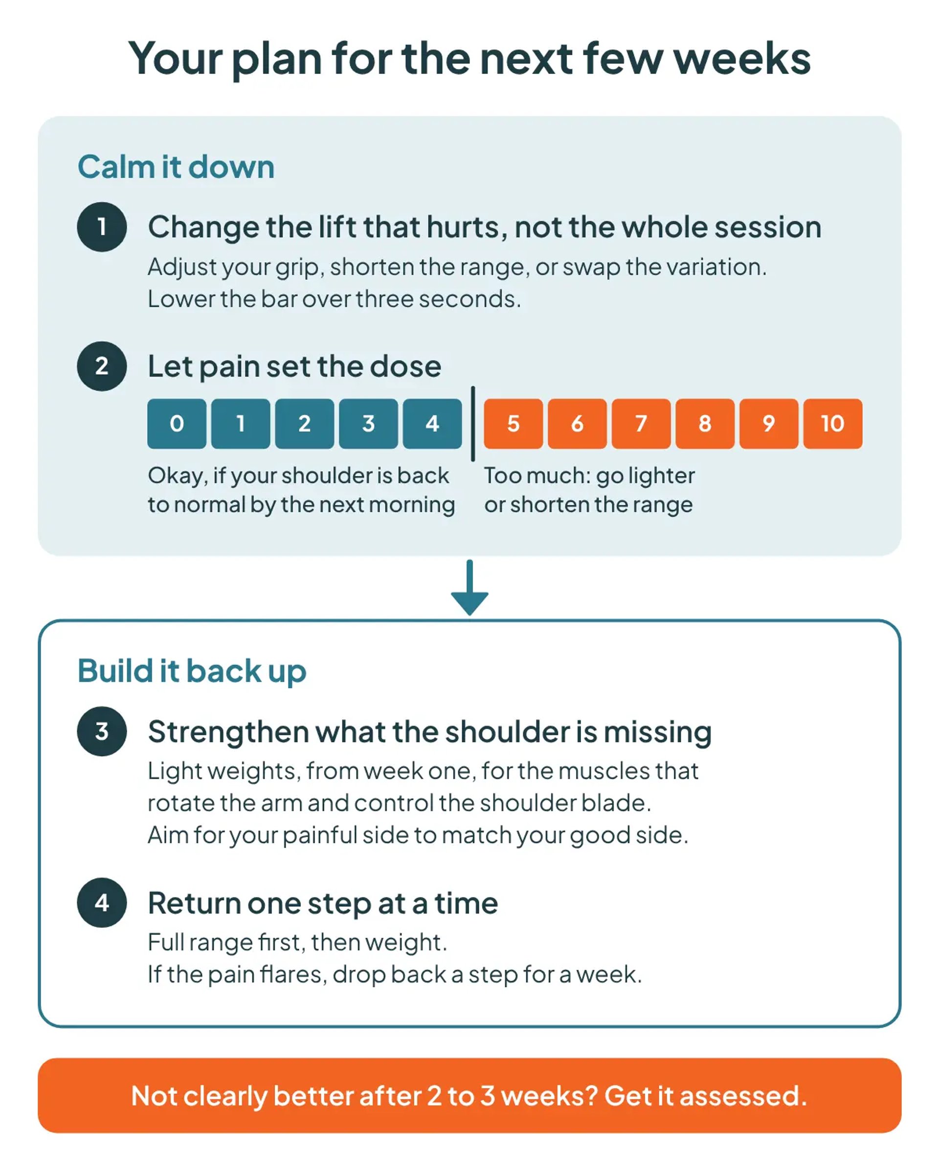 Infographic of the four-step shoulder plan: change the lift that hurts, let pain set the dose on a 0 to 10 scale with 4 as the limit, strengthen what is missing, return one step at a time, and get assessed if not better in 2 to 3 weeks.