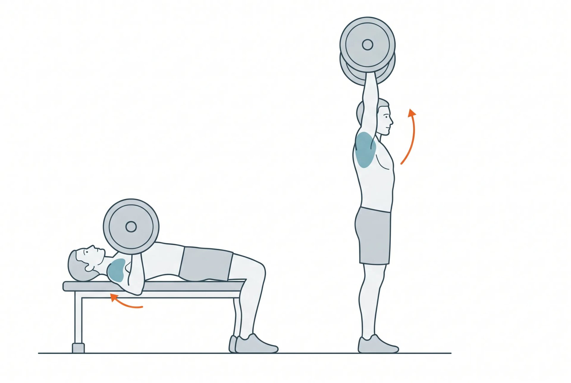 Side-view illustration of a lifter at the bottom of a bench press and at the top of an overhead press, with the shoulder joint highlighted in both.