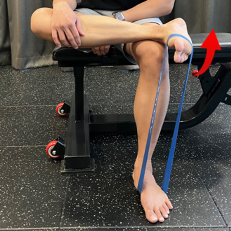 Seated banded ankle inversion and eversion strengthening drill. Red arrow moving in the direction of turning the foot upwards..