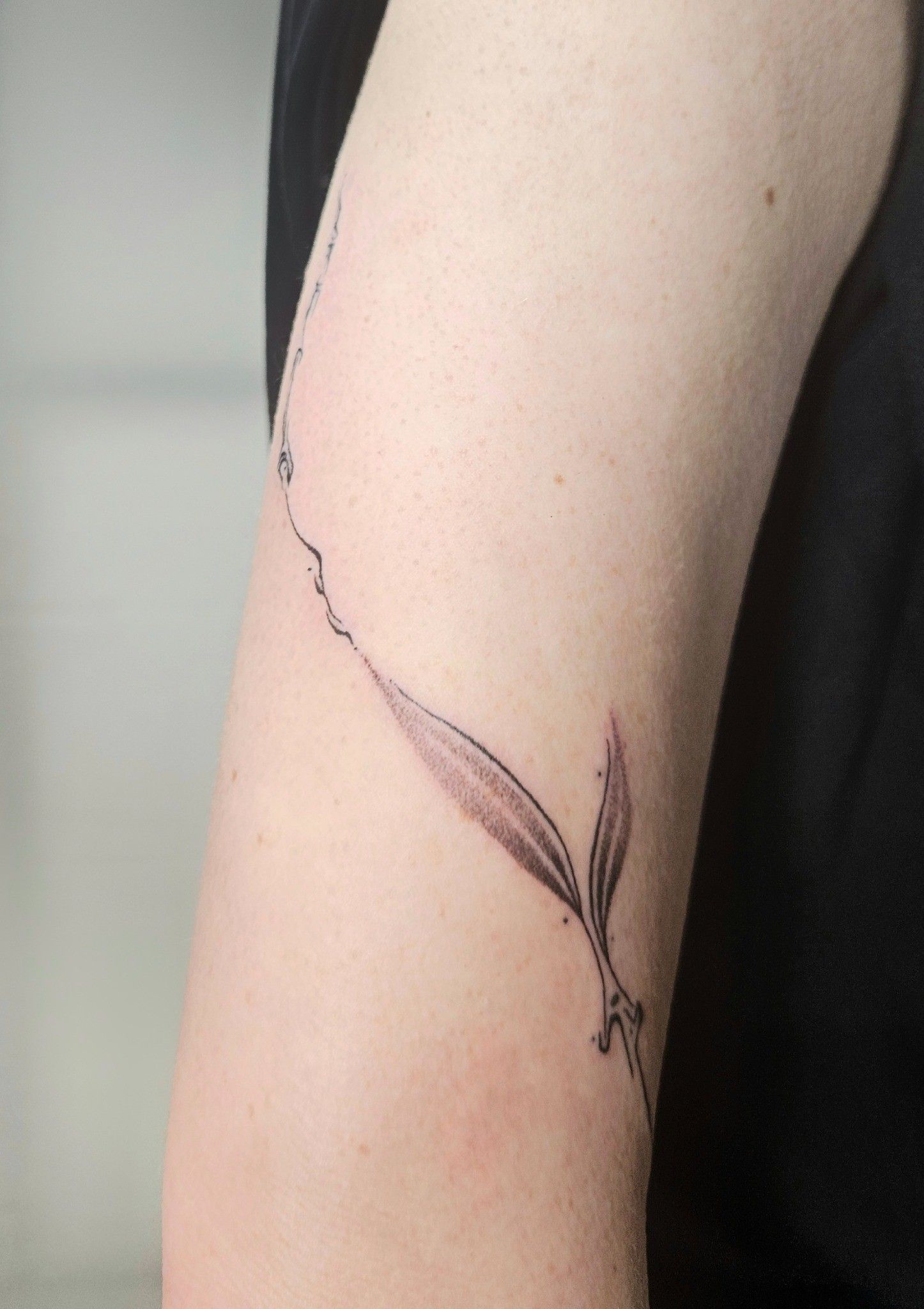 Tatouage feuillages organique fines lignes handpoke