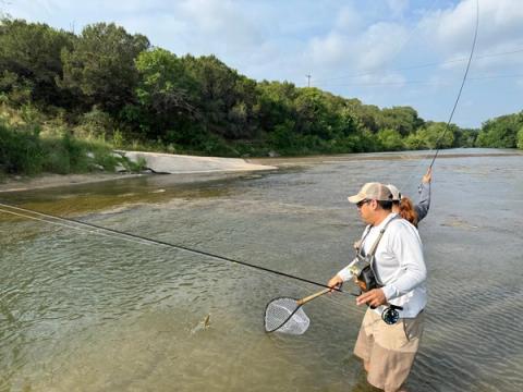 Panfish, Mineral Wells, Texas