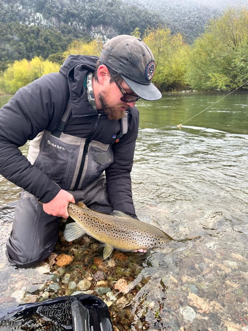 Brown Trout caught at Patagonia River Guides Trevelin