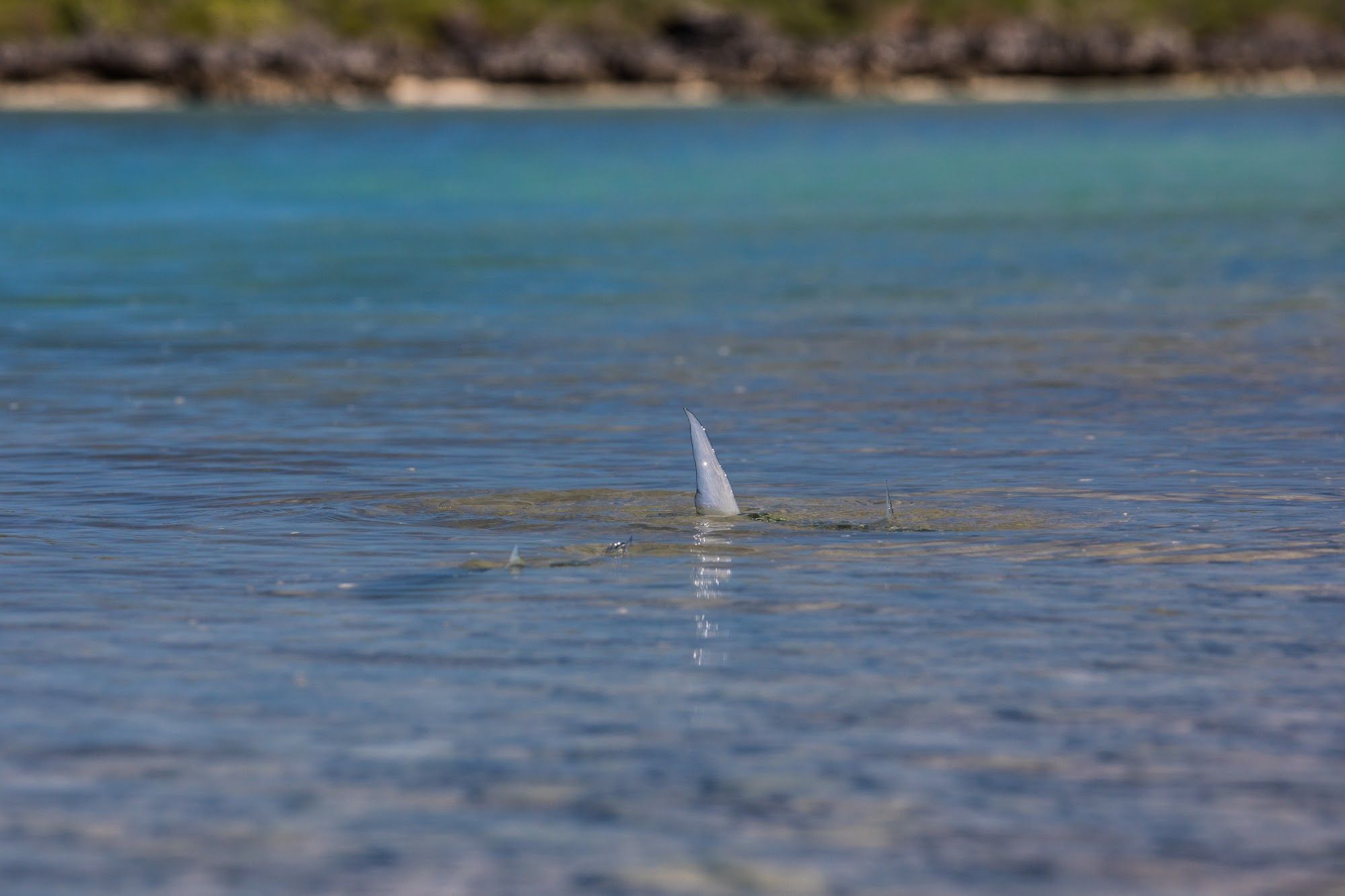 Astove Atoll
