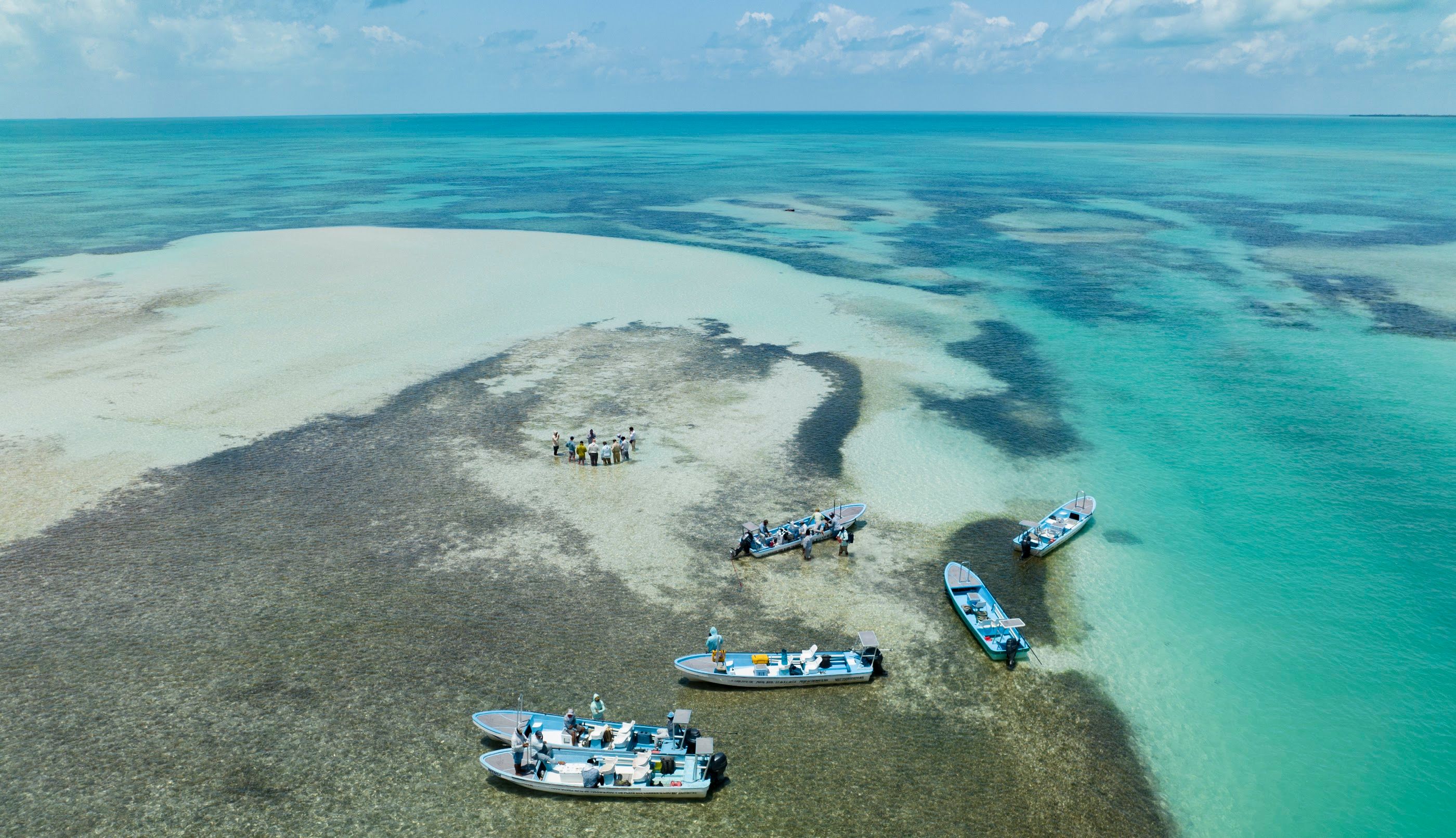 Palometa Club