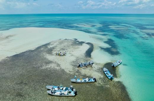 Palometa Club