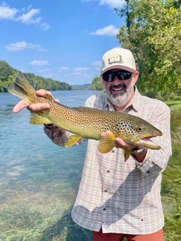 Brown Trout, White River Trout Club