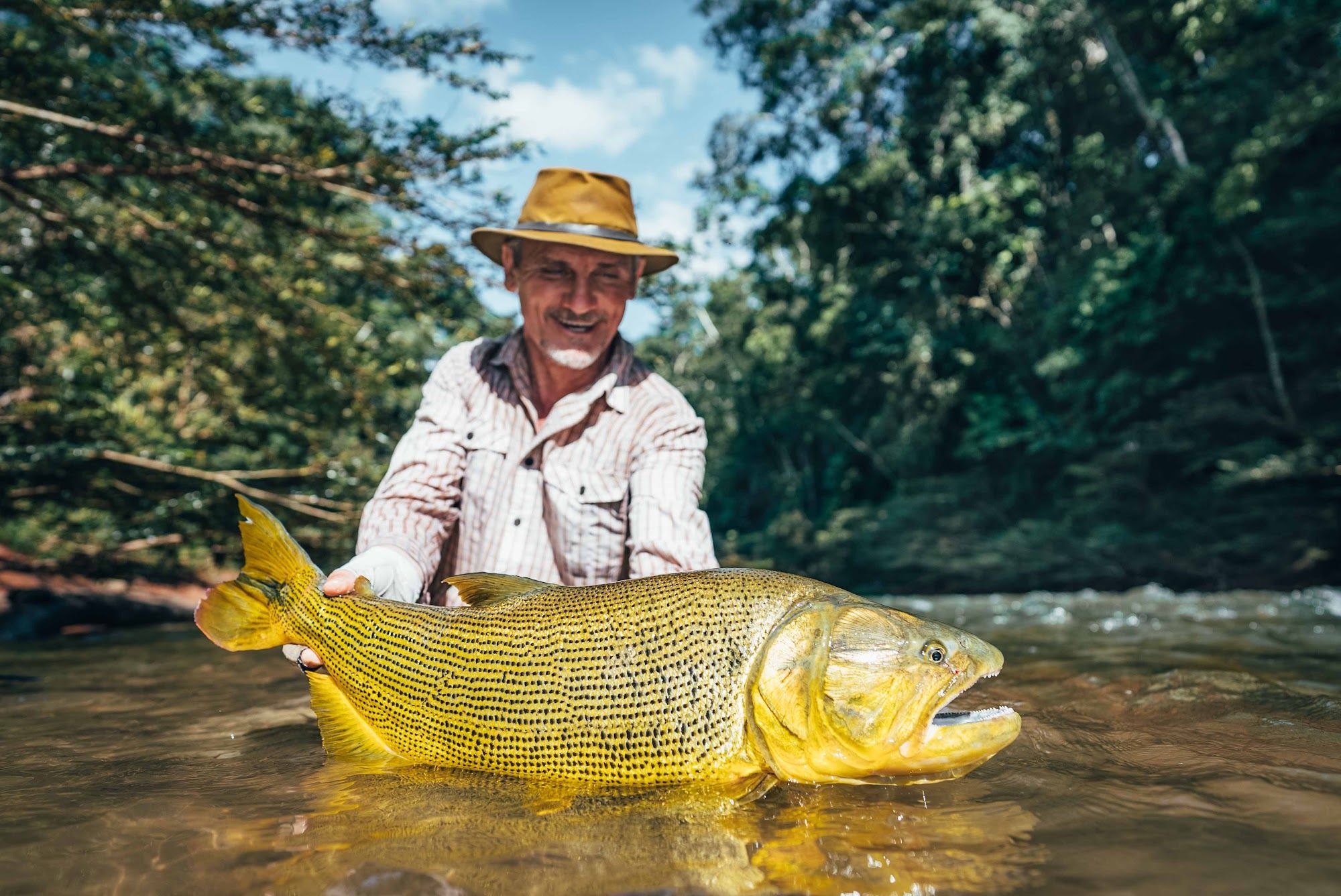 Pluma Lodge