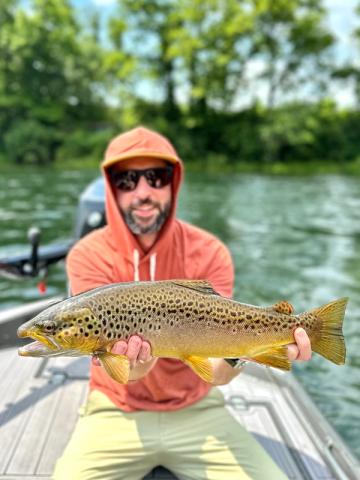 Brown Trout, White River Trout Club